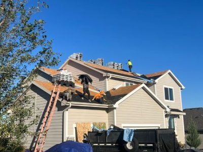 Expert Roof Replacement